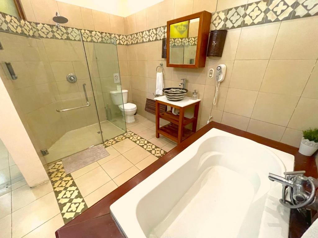 Casa Sanchez Boutique Hotel — Санто-Домінго, Домініканська Республіка мініатюра 44