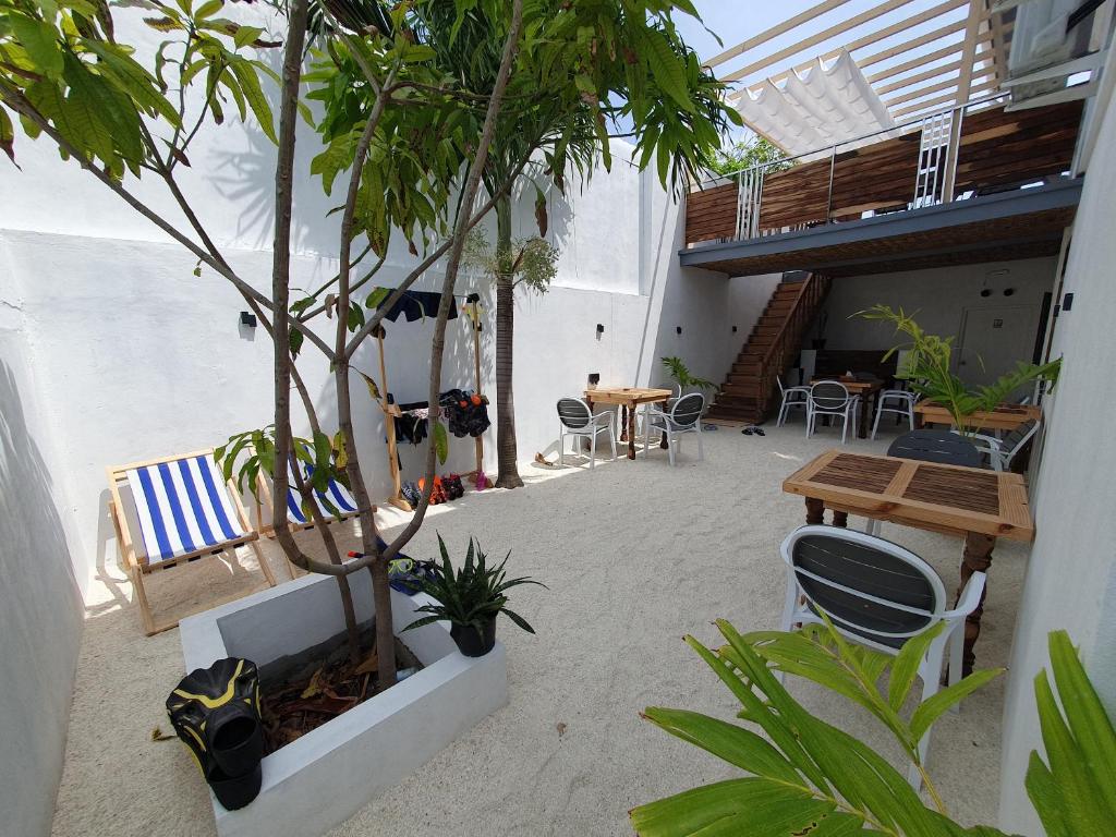 Dhoani Maldives Guesthouse Kendhoo — Баа Атол, Мальдіви мініатюра 65