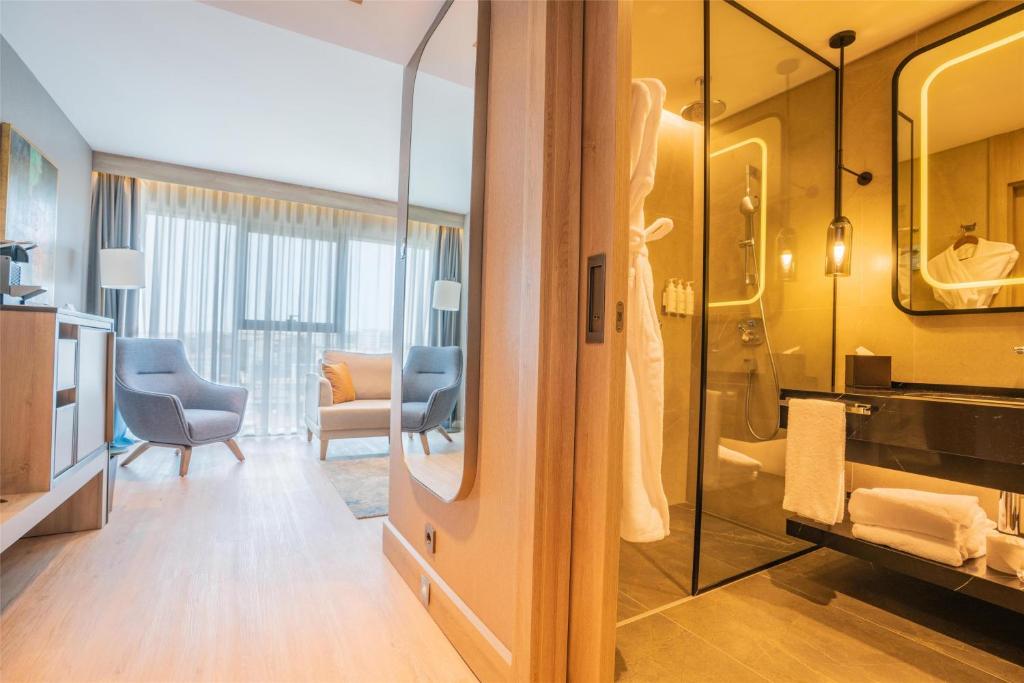 Radisson Hotel Istanbul Merter — Стамбул, Туреччина мініатюра 90