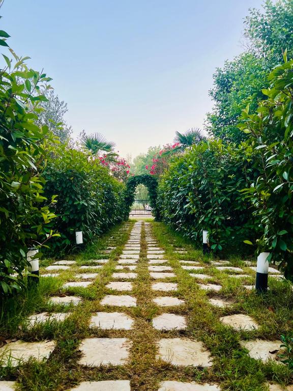 Garden Villa Donji Stoj — Барська рівʼєра, Чорногорія мініатюра 9