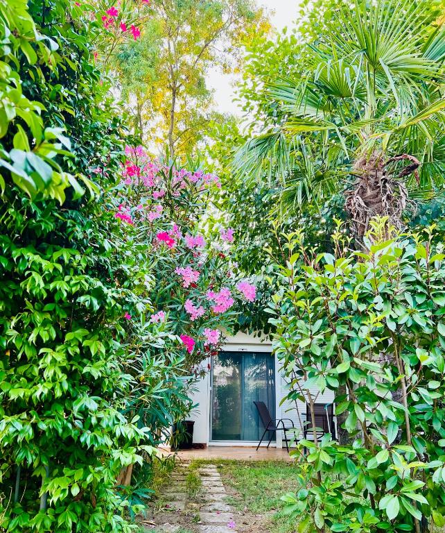 Garden Villa Donji Stoj — Барська рівʼєра, Чорногорія мініатюра 8