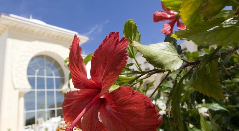 Old Palace Resort Sahl Hasheesh — Сахль Хашиш, Єгипет мініатюра 33