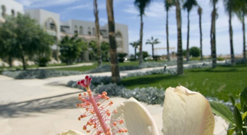 Old Palace Resort Sahl Hasheesh — Сахль Хашиш, Єгипет мініатюра 36