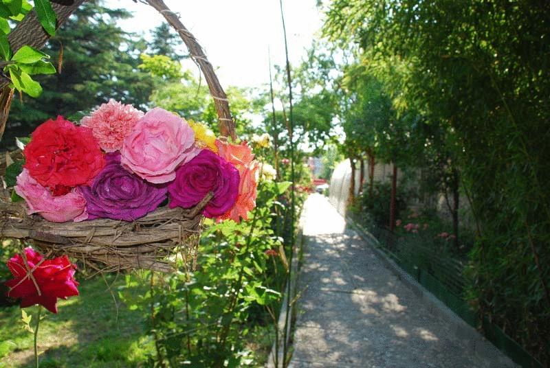 Trakia Garden — Сонячний Берег, Болгарія мініатюра 31