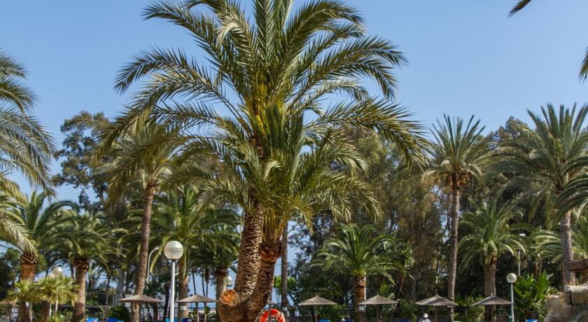 Port Denia Hotel — Коста Бланка, Іспанія мініатюра 113