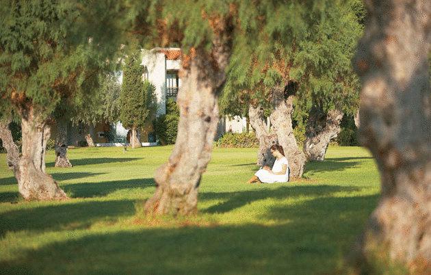 Grecotel Lux Me Dama Dama — о. Родос, Греція мініатюра 148