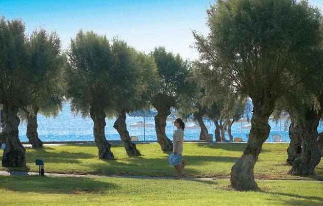 Grecotel Lux Me Dama Dama — о. Родос, Греція мініатюра 149