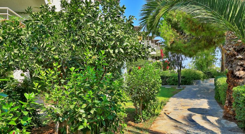 Apollonia Beach Resort & Spa — о. Крит, Греція мініатюра 176