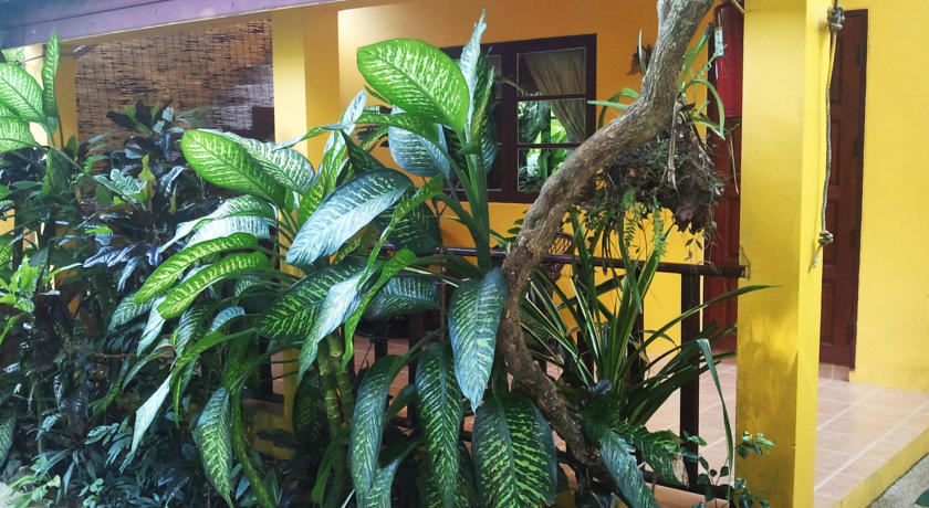 Deevana Krabi Resort — Крабі, Таїланд мініатюра 31