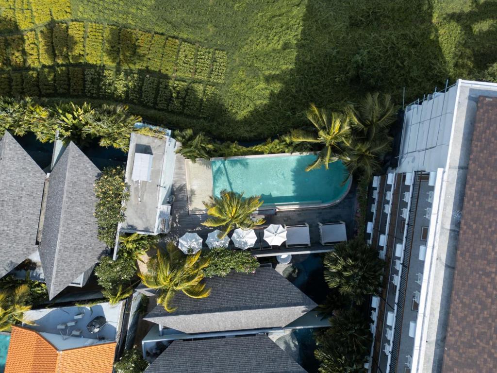 Astera Resort Canggu by Ini Vie Hospitality — о. Балі, Індонезія мініатюра 85