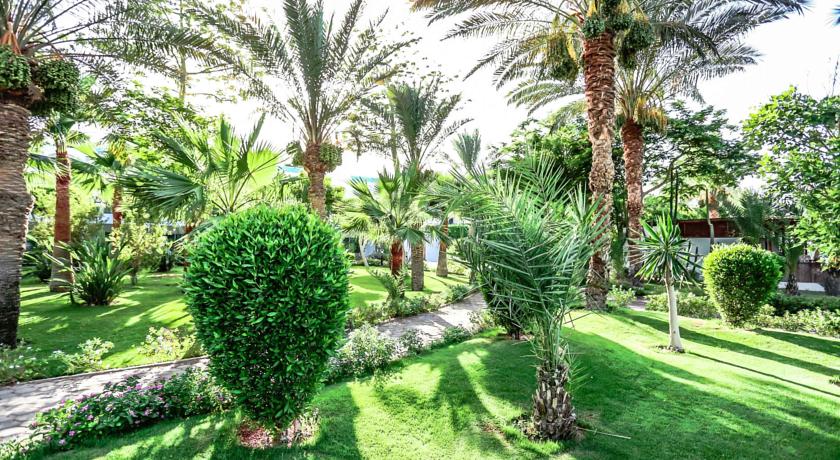 Sultan Gardens Resort — Шаркс Бей, Єгипет мініатюра 17