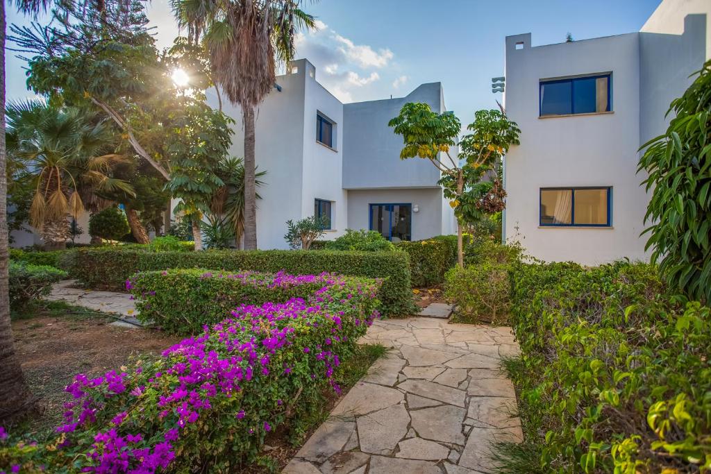 MarisMare Apartments — Айя Напа, Кіпр мініатюра 50