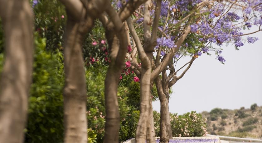Columbia Beach Resort Pissouri — Лімасол, Кіпр мініатюра 43