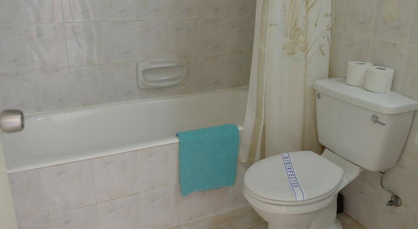 Artemis Hotel Apartments, Протарас, Кіпр мініатюра 21
