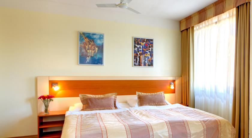 Aida Hotel — Прага, Чехія мініатюра 24