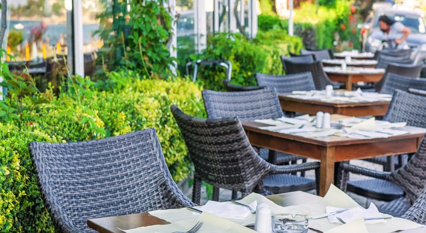 Xenios Dolphin Beach Hotel — Халкідікі, Греція мініатюра 7