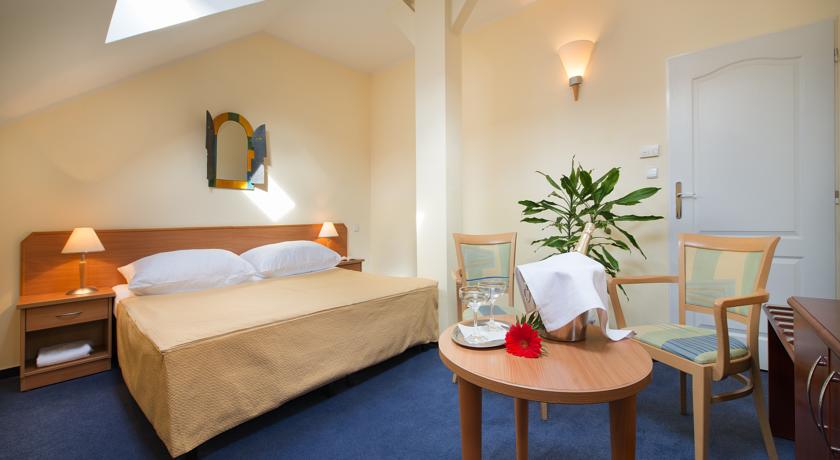 EA Hotel Tosca — Прага, Чехія мініатюра 34