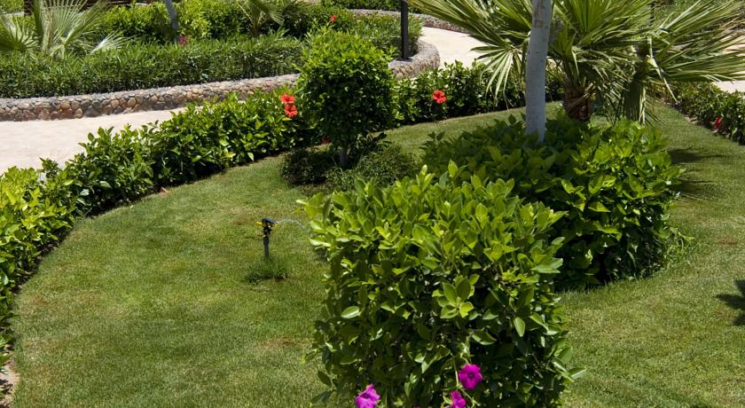 Hawaii Le Jardin Aqua Park — Хургада, Єгипет мініатюра 26
