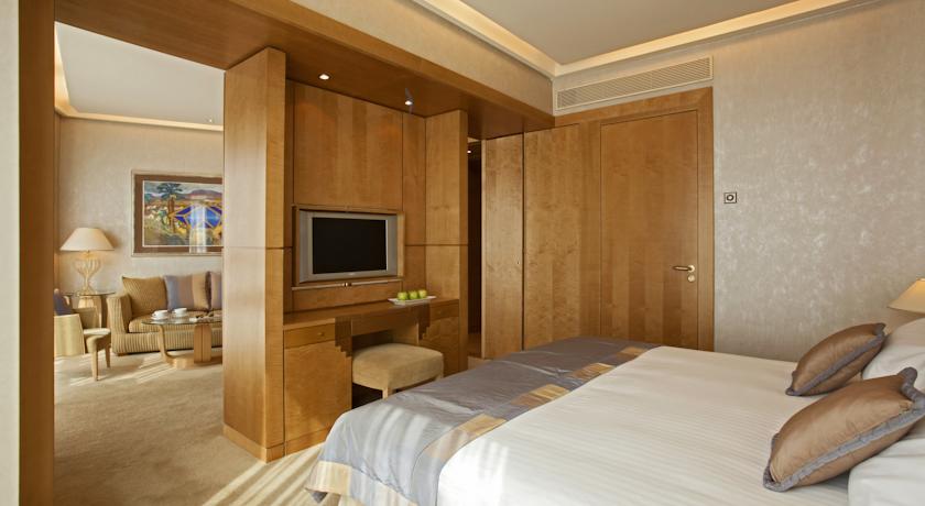 Melia Athens Hotel — Афіни, Греція мініатюра 29