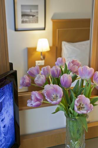 Plaka Hotel — Афіни, Греція мініатюра 26