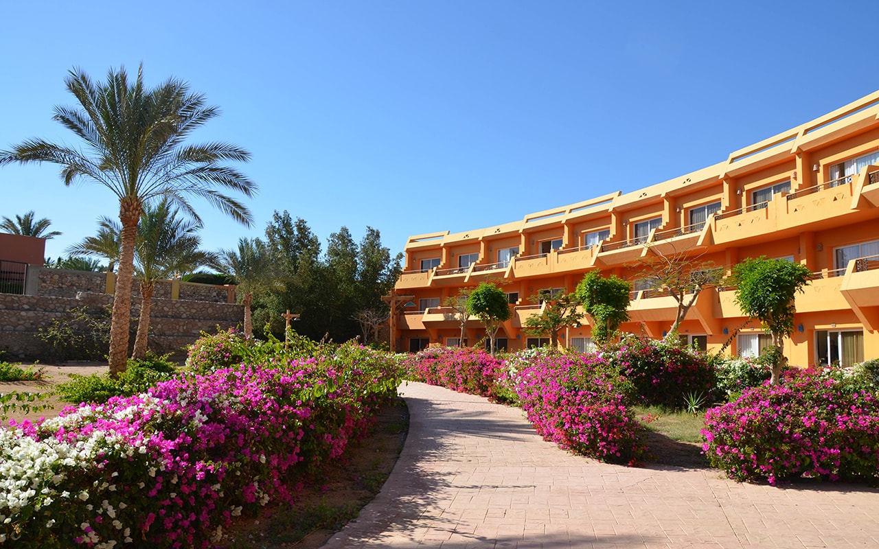 Amwaj Oyoun Resort & Spa — Набк Бей, Єгипет мініатюра 47