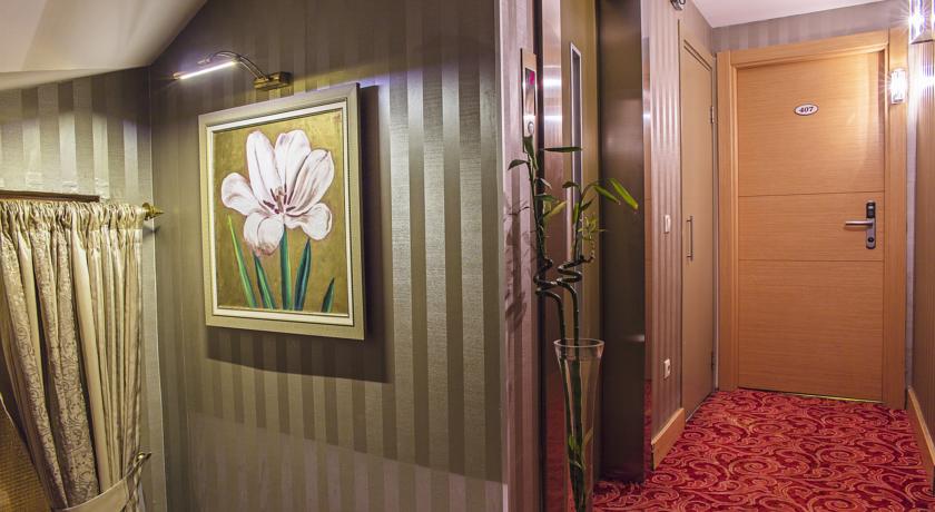 Almina Hotel — Стамбул, Туреччина мініатюра 25