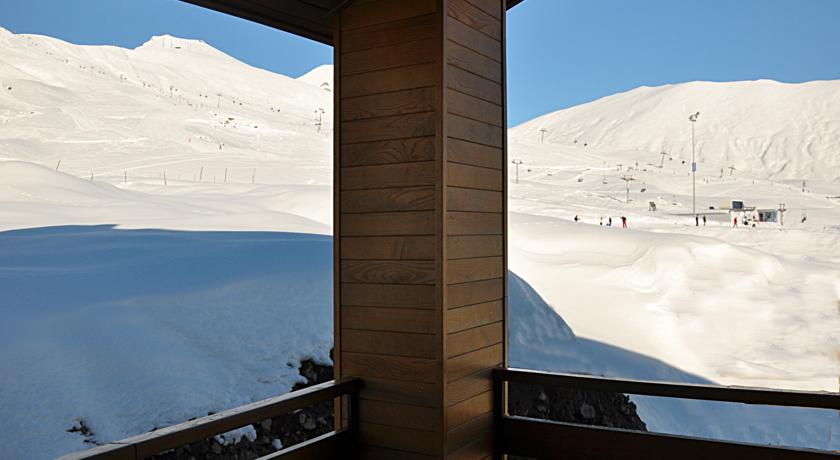 Carpe Diem Gudauri Hotel — Гудаурі, Грузія мініатюра 22