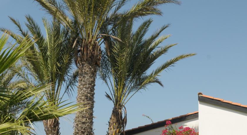 Mare Ayia Napa — Айя Напа, Кіпр мініатюра 7