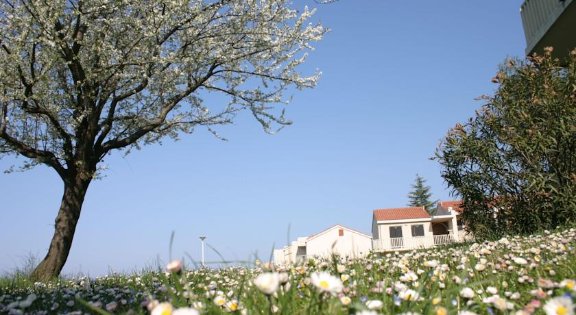 Polynesia Apartments — П-ів Істрія, Хорватія мініатюра 28