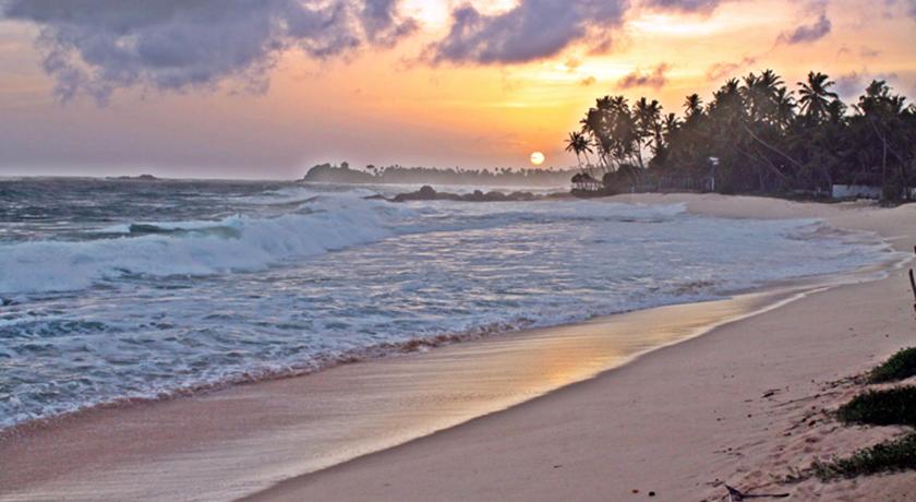 Dalawella Beach Resort — Унаватуна, Шрі Ланка мініатюра 7