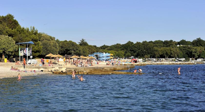 Delfin Plava Laguna — П-ів Істрія, Хорватія мініатюра 7