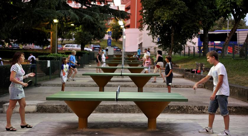 Delfin Plava Laguna — П-ів Істрія, Хорватія мініатюра 25