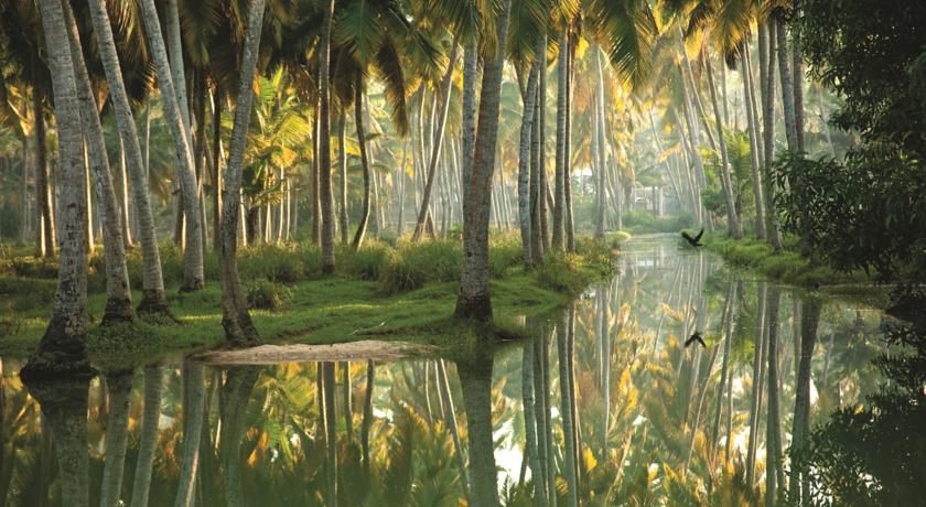 Isola Di Cocco — Керала, Індія мініатюра 9
