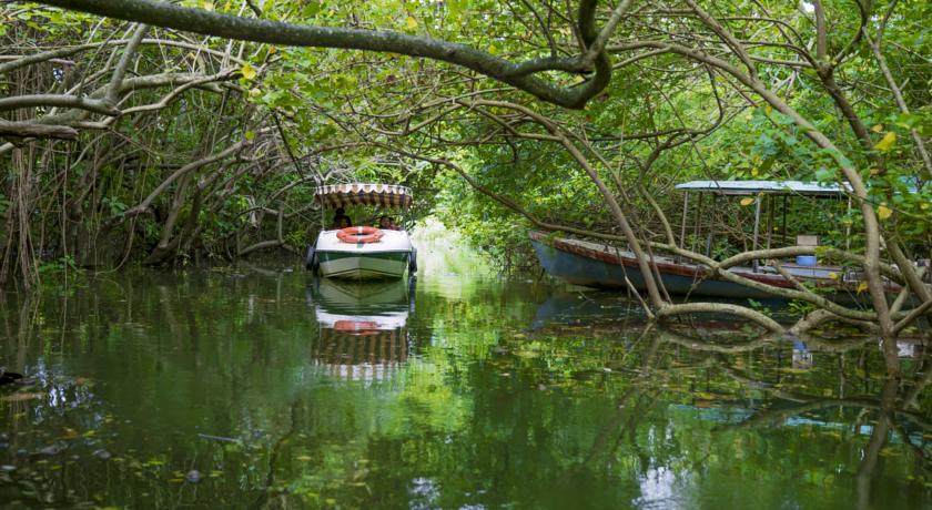 Isola Di Cocco — Керала, Індія мініатюра 30