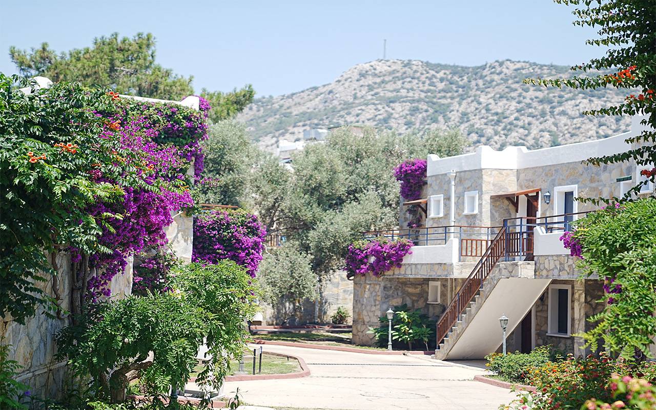 Bodrum Park Resort Yaliciftlik — Бодрум, Туреччина мініатюра 19