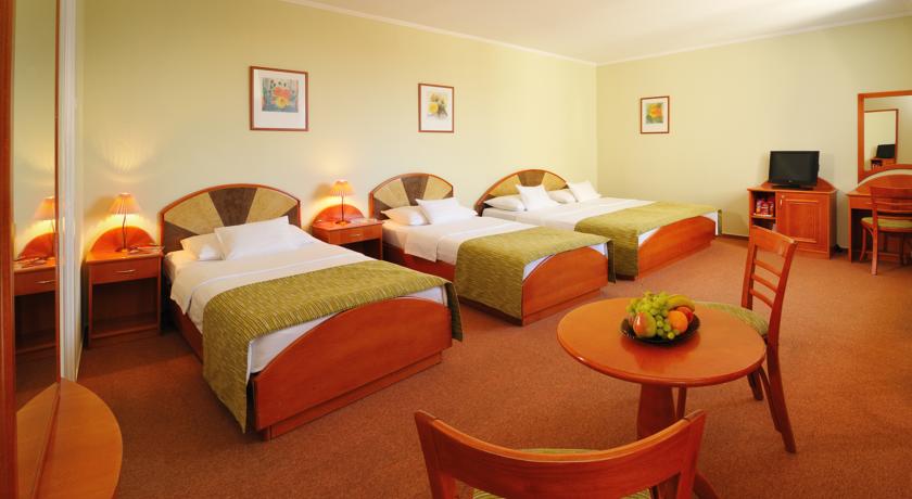 Baross City Hotel — Будапешт, Угорщина мініатюра 7
