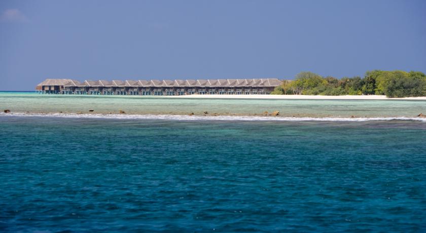 LUX* South Ari Atoll — Арі (Аліфу) атол, Мальдіви мініатюра 28