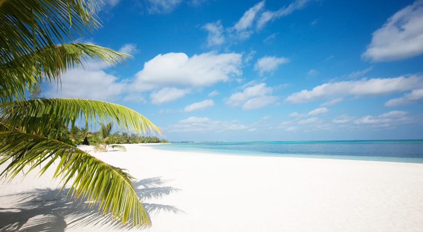 LUX* South Ari Atoll — Арі (Аліфу) атол, Мальдіви мініатюра 35