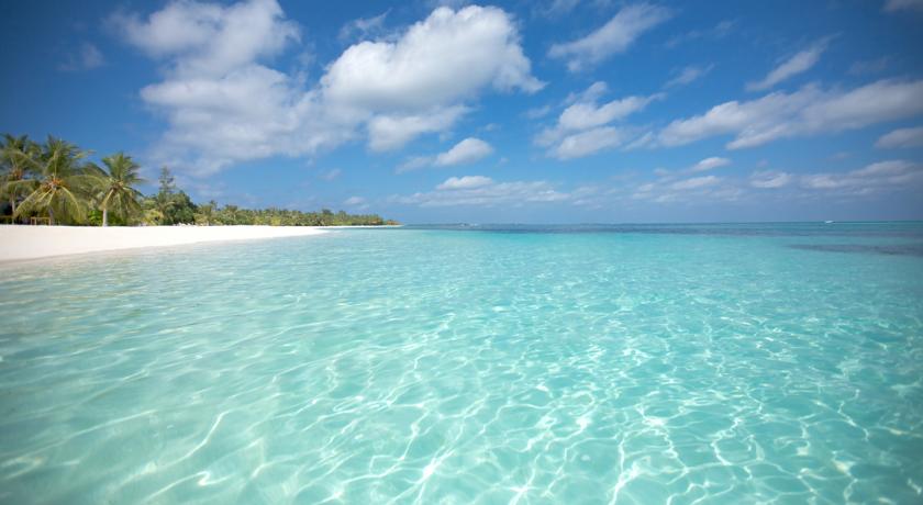 LUX* South Ari Atoll — Арі (Аліфу) атол, Мальдіви мініатюра 38