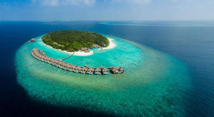 Dusit Thani Maldives Hotel — Баа Атол, Мальдіви мініатюра 133