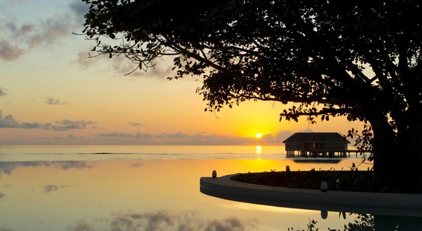 Dusit Thani Maldives Hotel — Баа Атол, Мальдіви мініатюра 162