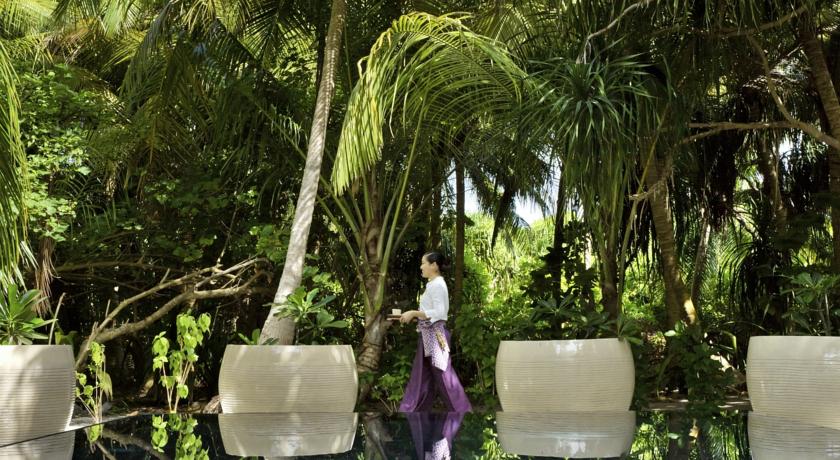 Dusit Thani Maldives Hotel — Баа Атол, Мальдіви мініатюра 174