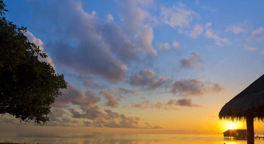 Dusit Thani Maldives Hotel — Баа Атол, Мальдіви мініатюра 175