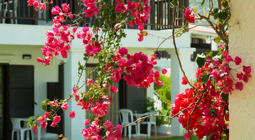 Golden Coast Hotel & Bungalows — Аттика, Греція мініатюра 17