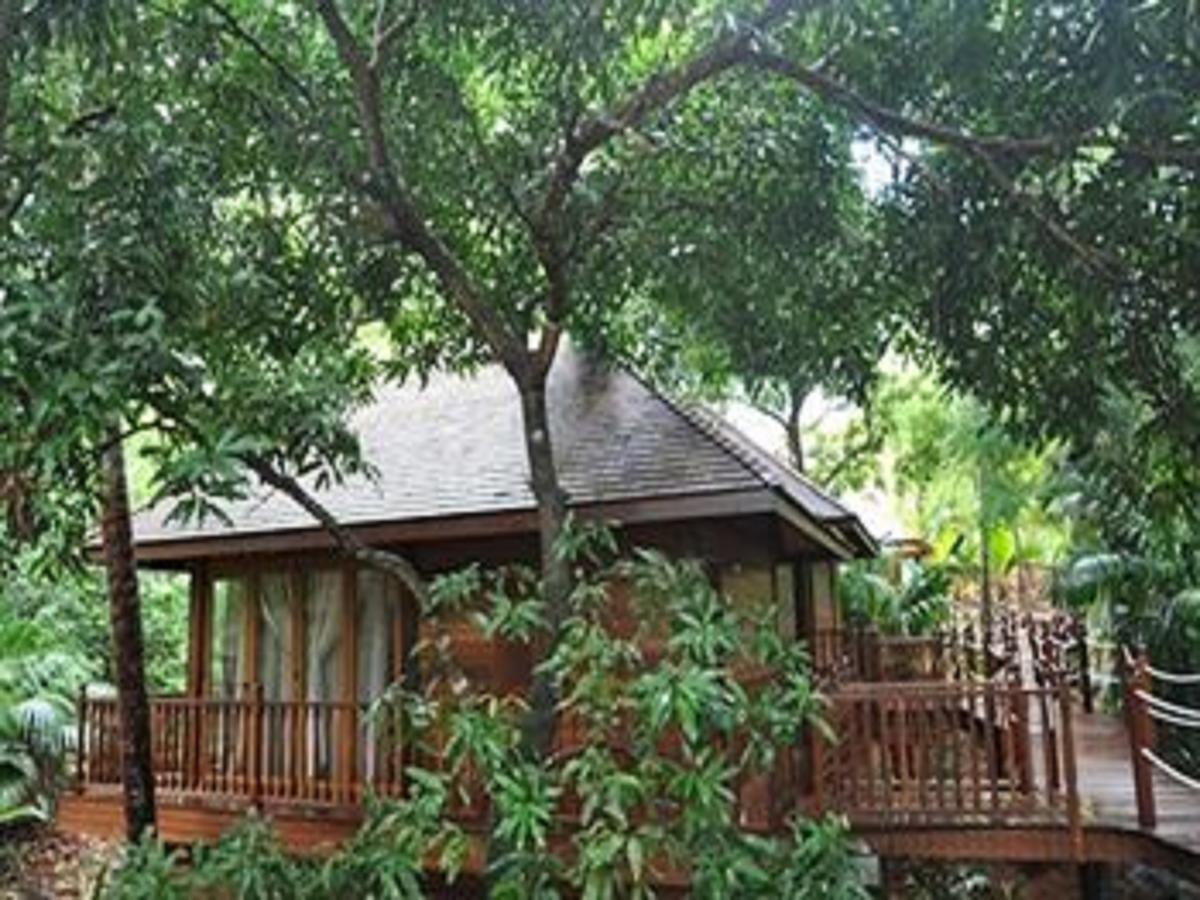 Cerf Island Resort — о. Серф, Сейшельські острови мініатюра 30