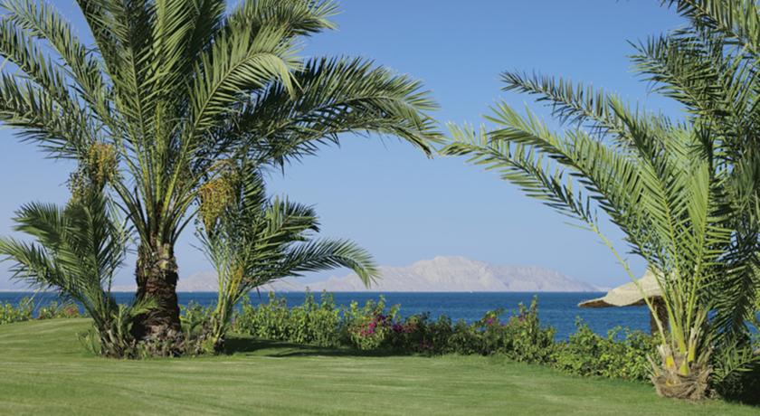Monte Carlo Sharm Resort & Spa — Хадаба, Єгипет мініатюра 15