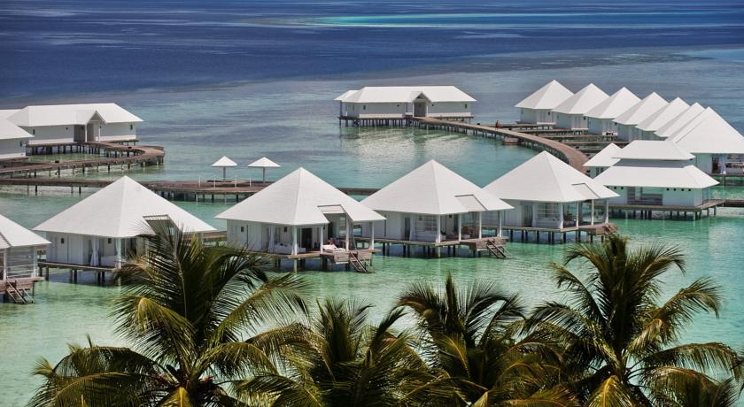 Diamonds Athuruga Maldives — Південний Мале Атол, Мальдіви — фото 1