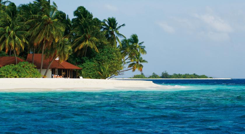 Diamonds Thudufushi Maldives — Арі (Аліфу) атол, Мальдіви мініатюра 6