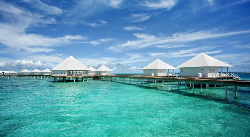 Diamonds Thudufushi Maldives — Арі (Аліфу) атол, Мальдіви мініатюра 9