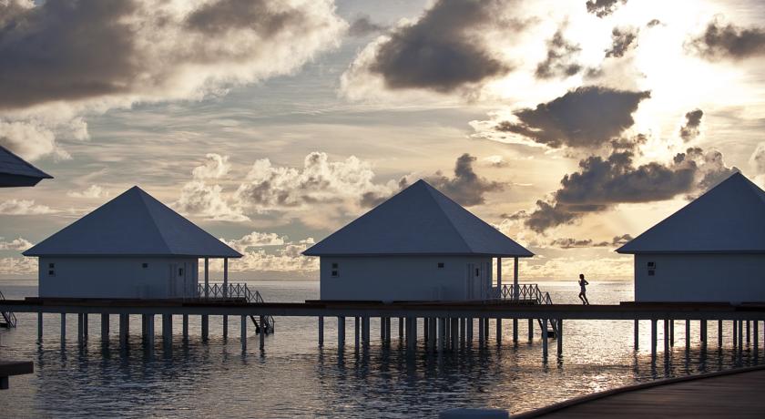Diamonds Thudufushi Maldives — Арі (Аліфу) атол, Мальдіви мініатюра 11